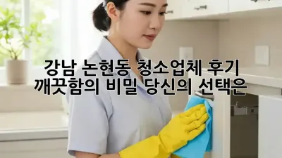 강남 논현동 청소업체 후기: 깨끗함의 비밀, 당신의 선택은?