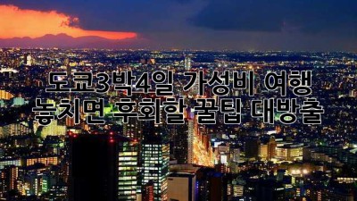 🗼도쿄3박4일🇯🇵 가성비 여행, 놓치면 후회할 꿀팁 대방출!